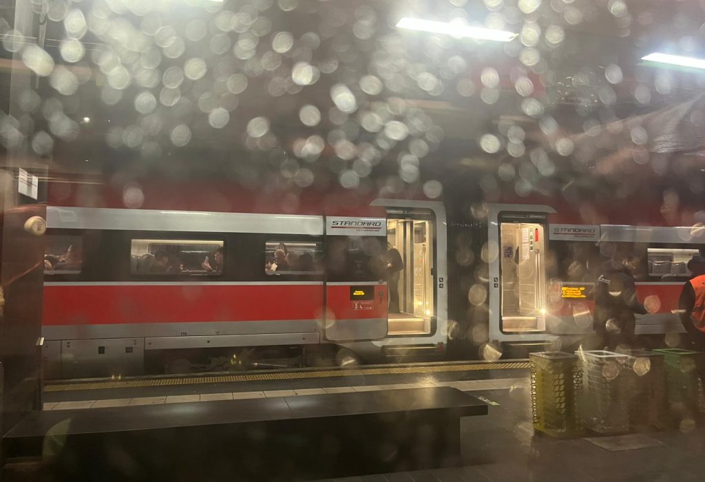 Il-Treno-Dell-Immobilita