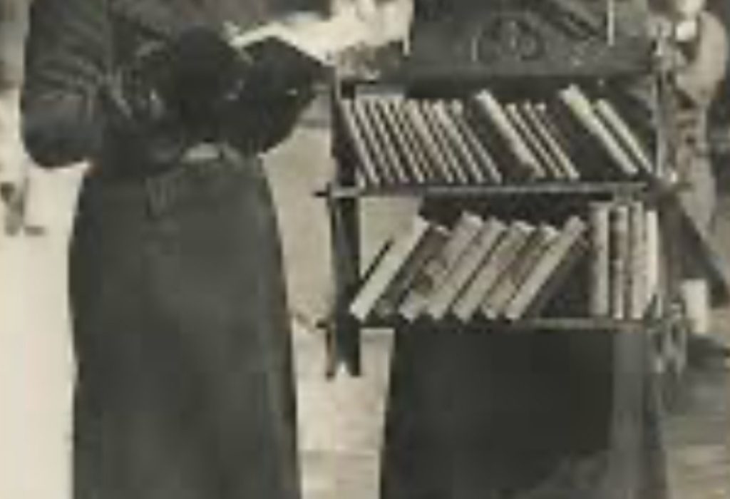 la-biblioteca-ambulante